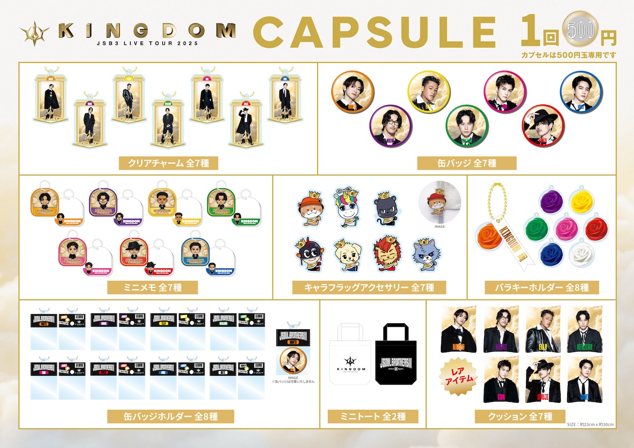 CAPSULE P500~