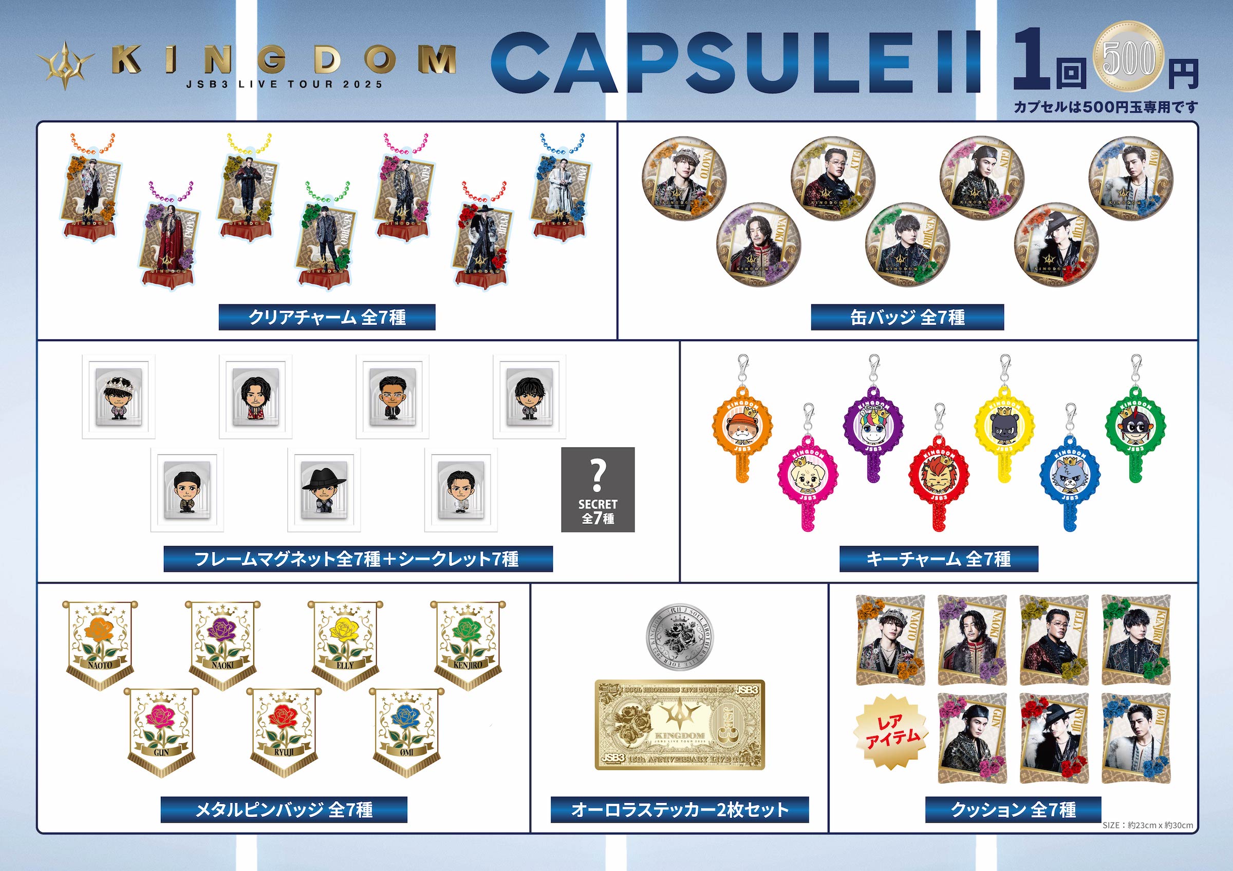 CAPSULE P500~
