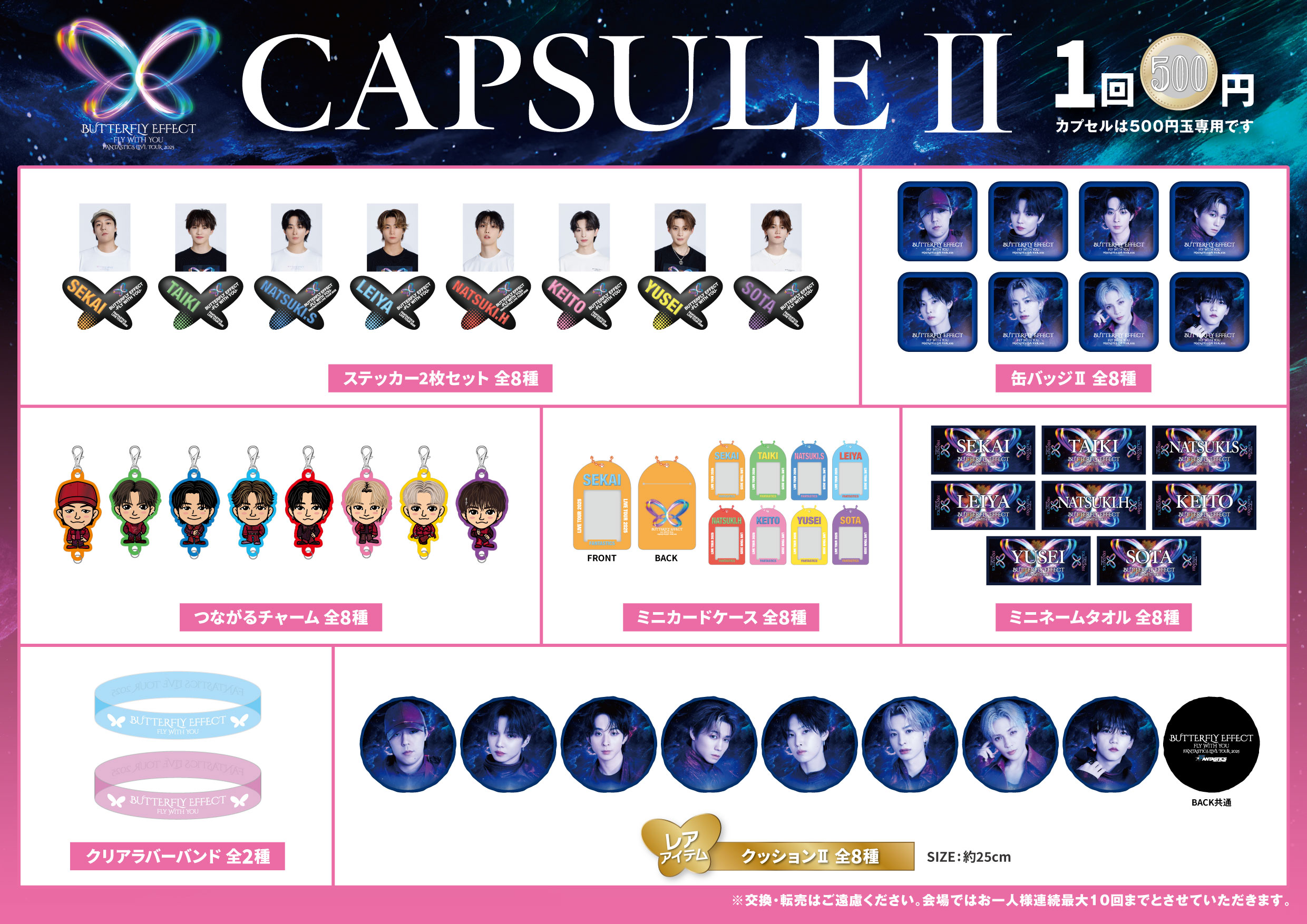 CAPSULE2