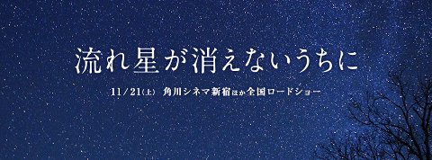 八木将康出演映画 流れ星が消えないうちに