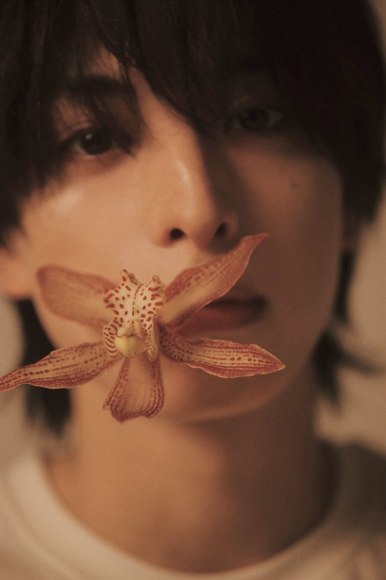 2026/9/12(土)発売 木村慧人 ビジュアルブック『Visuarts』特設ページ